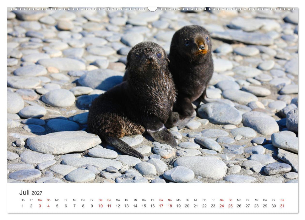 Antarktis - Die größte Eiswüste der Welt. (CALVENDO Premium Wandkalender 2027)