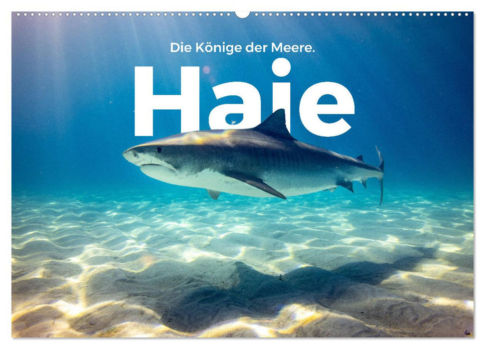 Haie - Könige der Meere. (CALVENDO Wandkalender 2027)