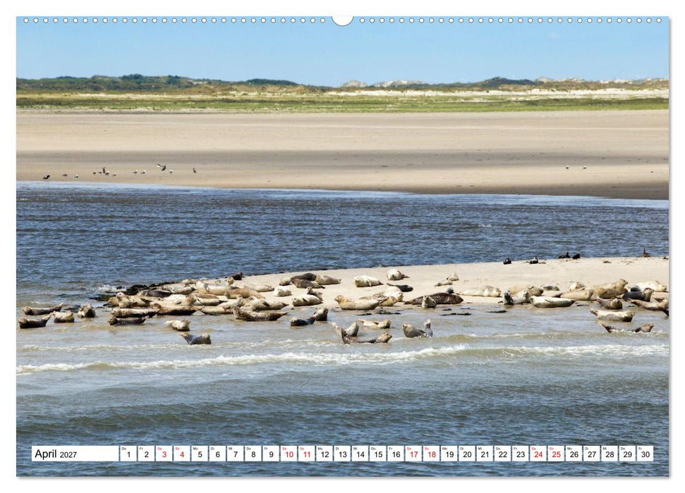Borkum - Momente einer Reise (CALVENDO Premium Wandkalender 2027)