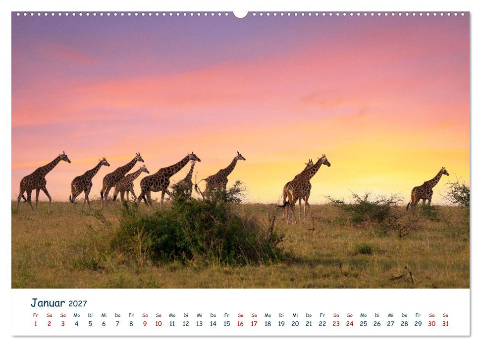 Fernweh Uganda - Naturschönheit Ostafrikas (CALVENDO Wandkalender 2027)