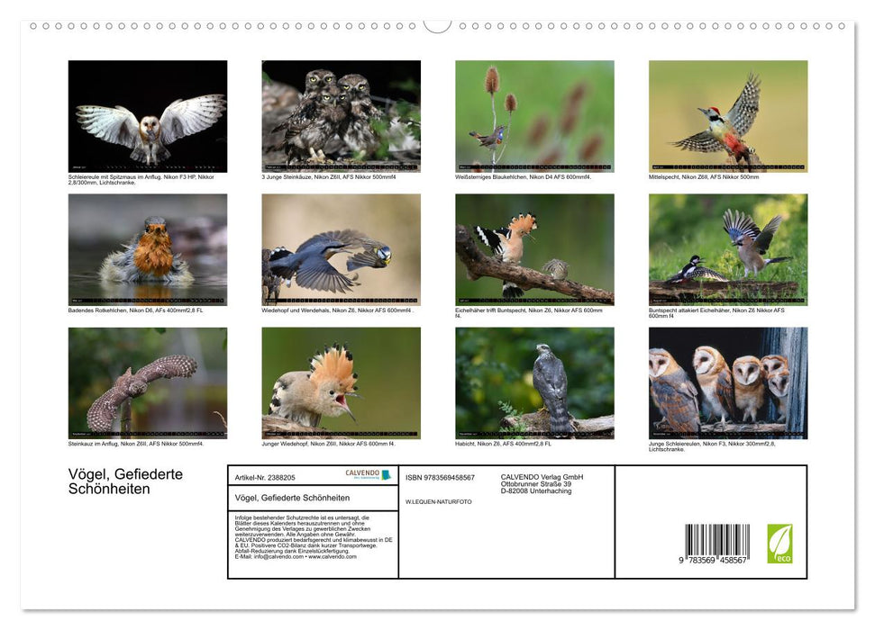 Vögel, Gefiederte Schönheiten (CALVENDO Wandkalender 2027)