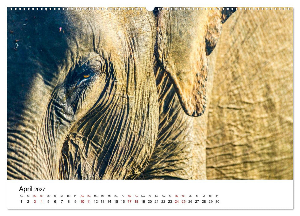 Sri Lanka - Eine wahre Perle im Indischen Ozean (CALVENDO Wandkalender 2027)