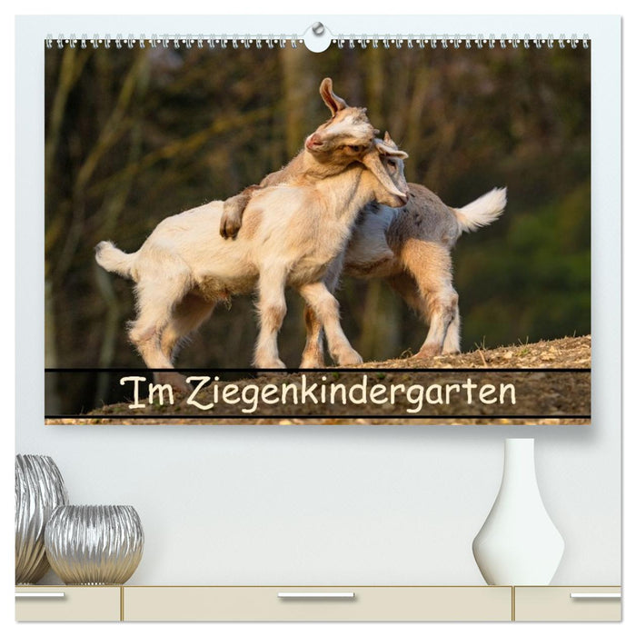 Im Ziegenkindergarten (CALVENDO Premium Wandkalender 2027)