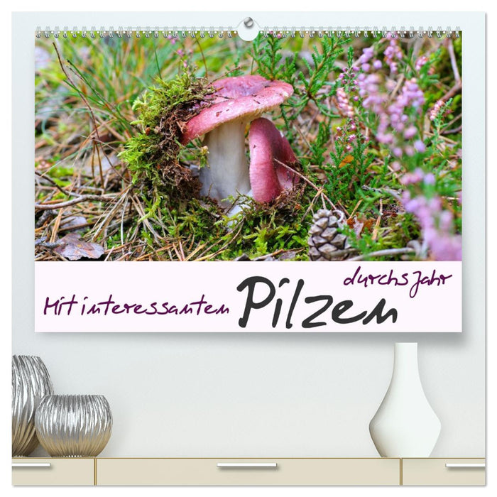 Mit interessanten Pilzen durchs Jahr (CALVENDO Premium Wandkalender 2027)