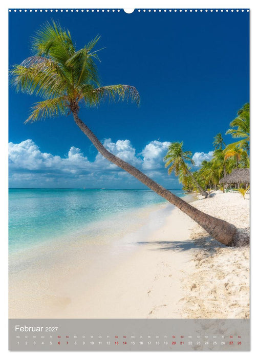 Karibischer Traum Isla Saona (CALVENDO Premium Wandkalender 2027)