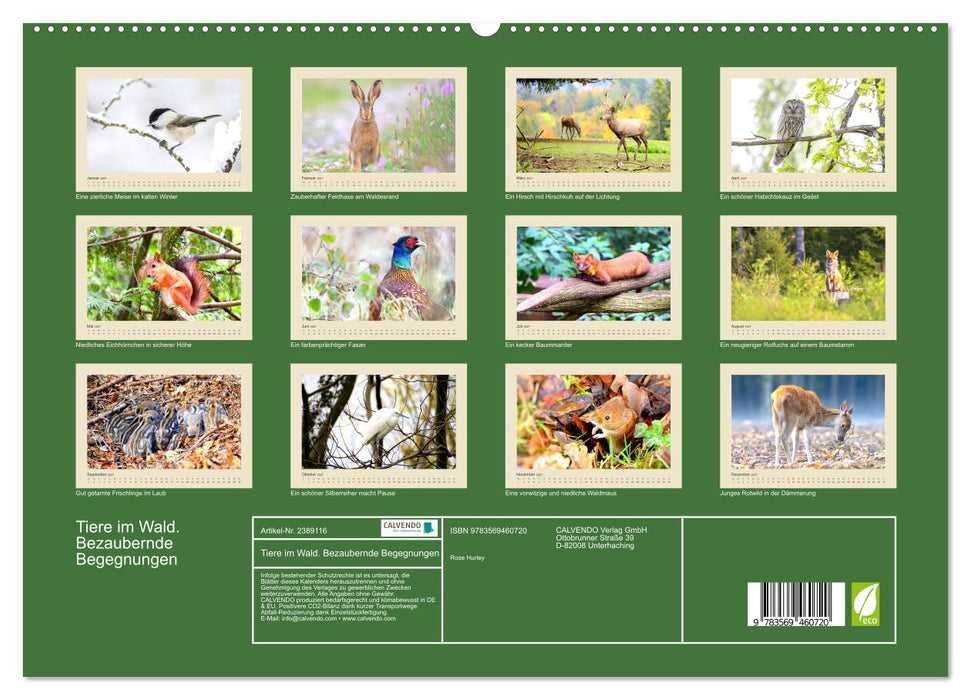 Tiere im Wald. Bezaubernde Begegnungen (CALVENDO Wandkalender 2027)