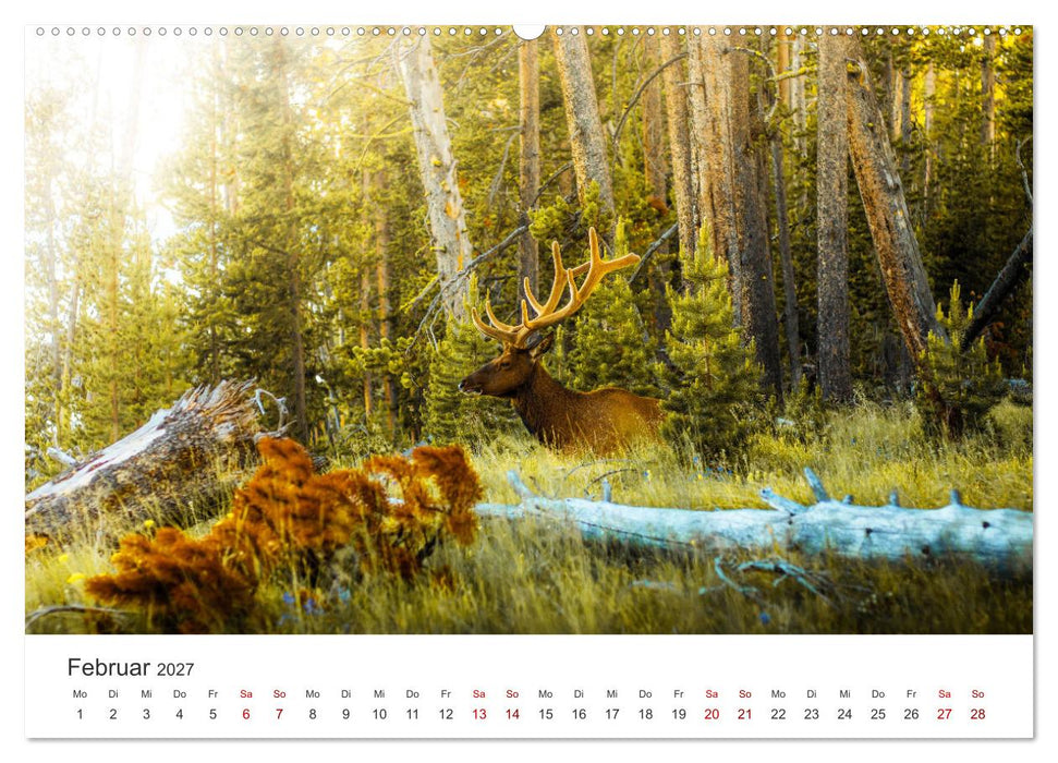 Yellowstone - Wie von einem anderen Stern. (CALVENDO Premium Wandkalender 2027)
