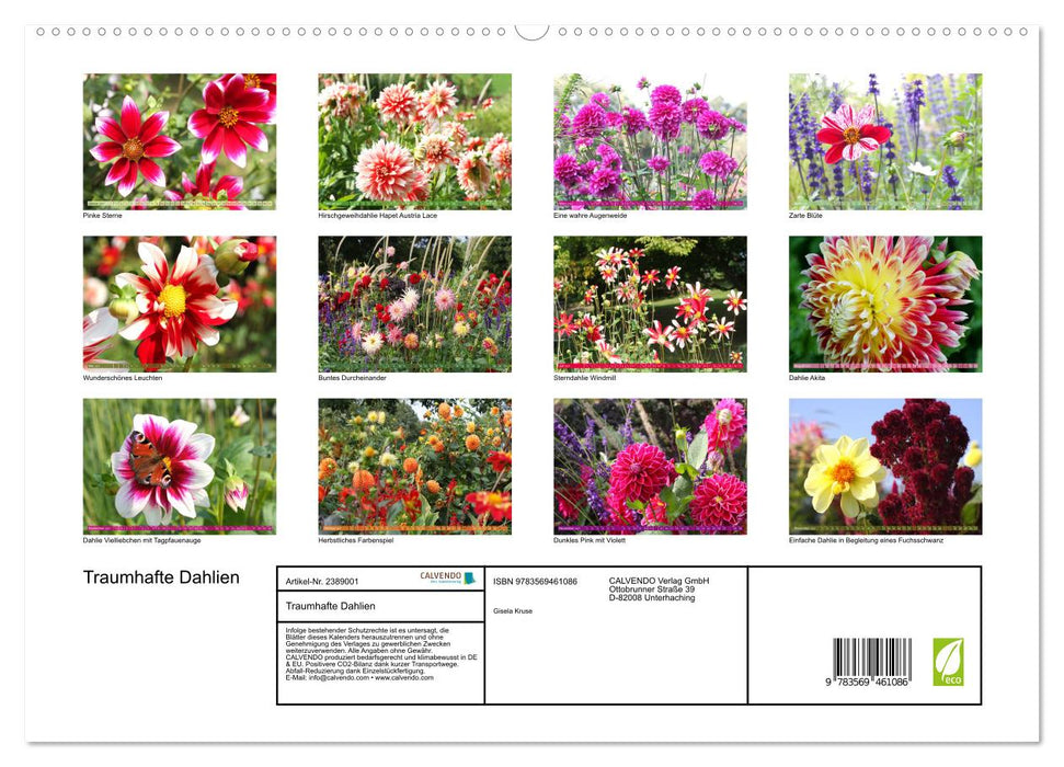 Traumhafte Dahlien (CALVENDO Wandkalender 2027)