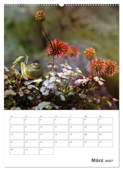 Helden in der Natur (CALVENDO Premium Wandkalender 2027)