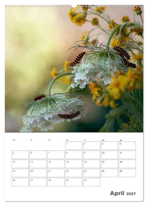 Helden in der Natur (CALVENDO Premium Wandkalender 2027)