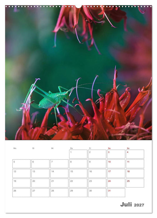 Helden in der Natur (CALVENDO Premium Wandkalender 2027)
