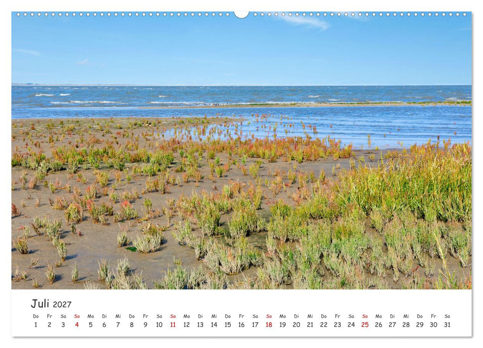 Borkum: Streifzüge über die Nordseeinsel (CALVENDO Premium Wandkalender 2027)