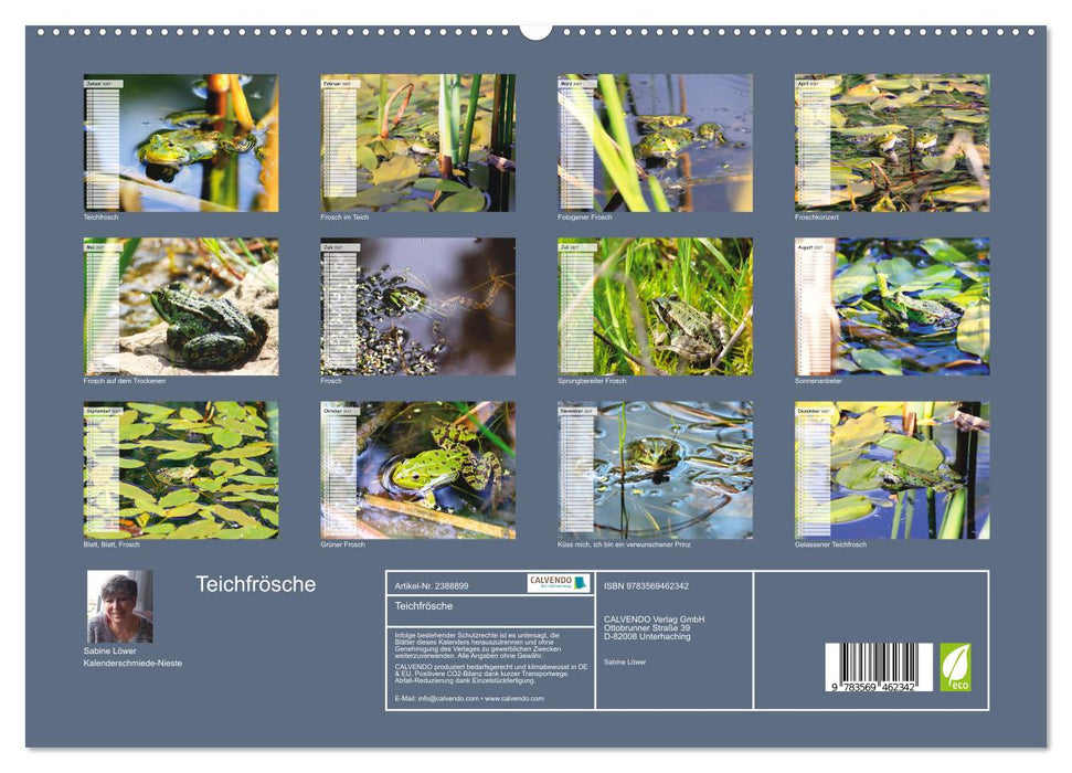 Teichfrösche (CALVENDO Wandkalender 2027)