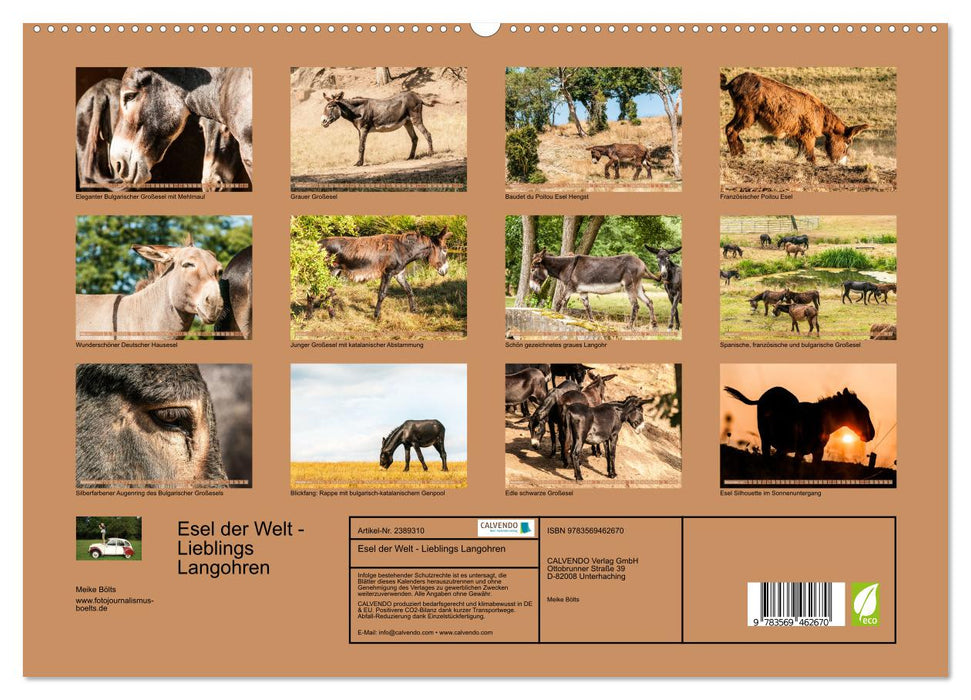 Esel der Welt - Lieblings Langohren (CALVENDO Wandkalender 2027)