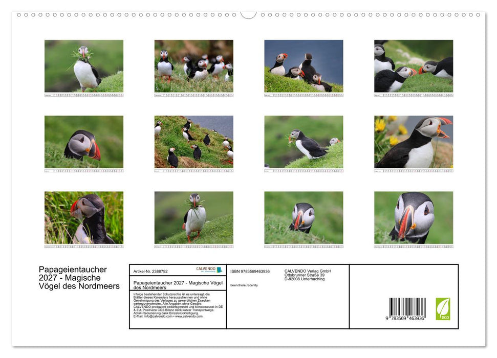 Papageientaucher 2027 - Magische Vögel des Nordmeers (CALVENDO Wandkalender 2027)