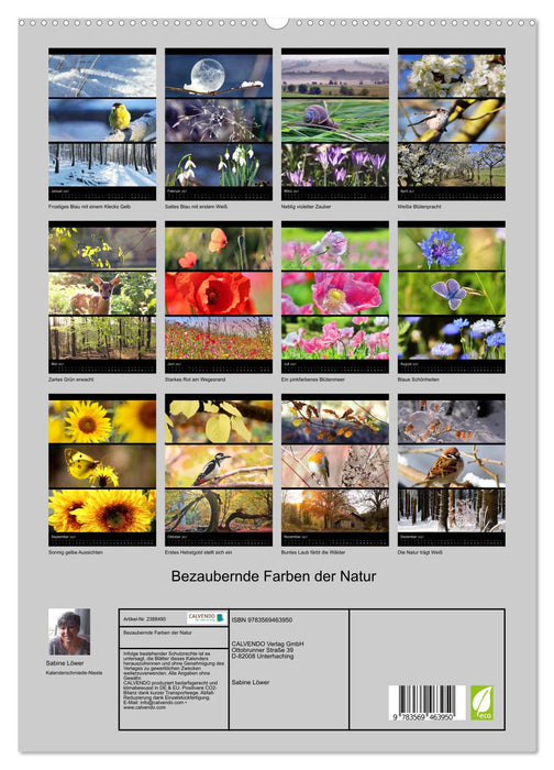 Bezaubernde Farben der Natur (CALVENDO Premium Wandkalender 2027)
