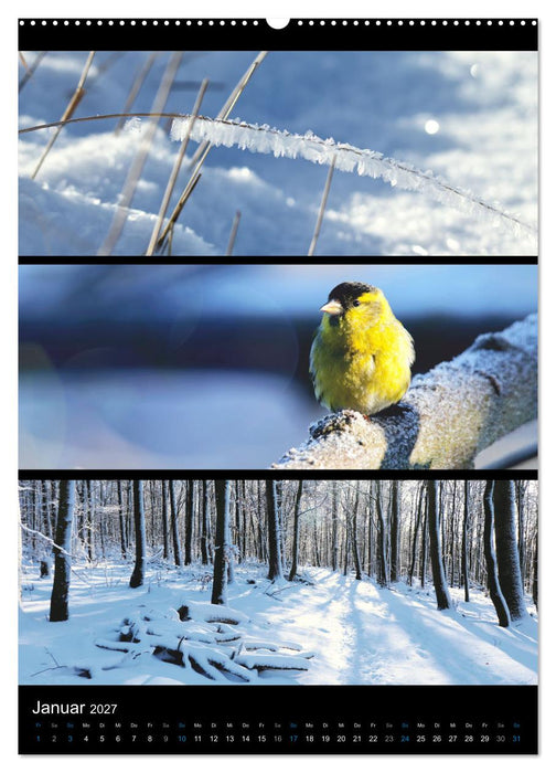 Bezaubernde Farben der Natur (CALVENDO Premium Wandkalender 2027)