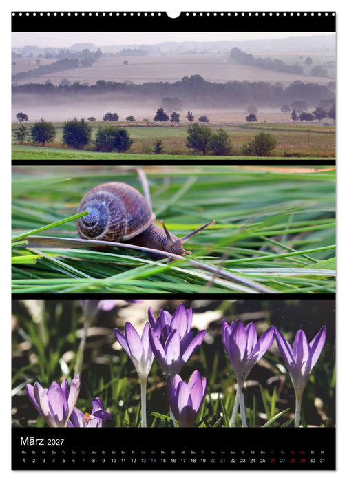 Bezaubernde Farben der Natur (CALVENDO Premium Wandkalender 2027)