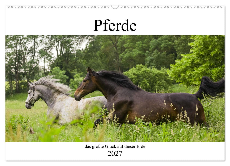 Pferde, das größte Glück auf dieser Erde (CALVENDO Wandkalender 2027)
