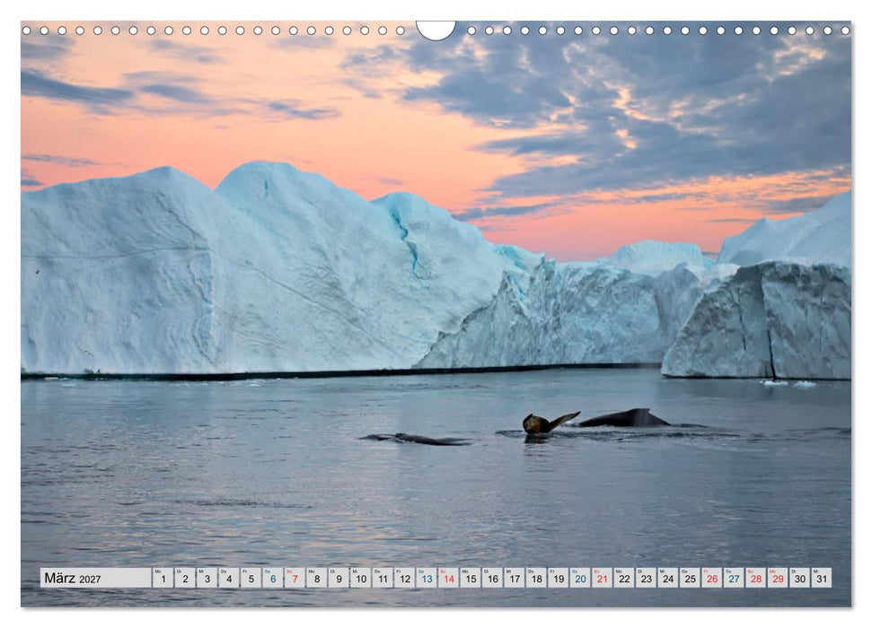 Bezauberndes, eisiges Grönland (CALVENDO Wandkalender 2027)