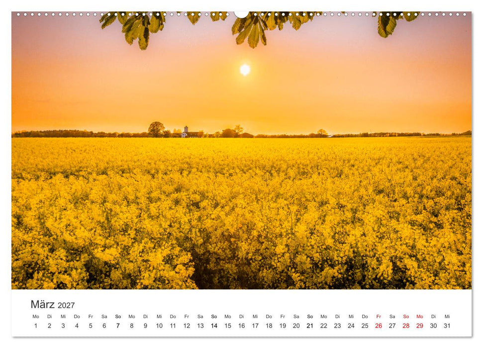 Lichtmomente - Fotografien, die in einem besonderen Licht erstrahlen. (CALVENDO Wandkalender 2027)