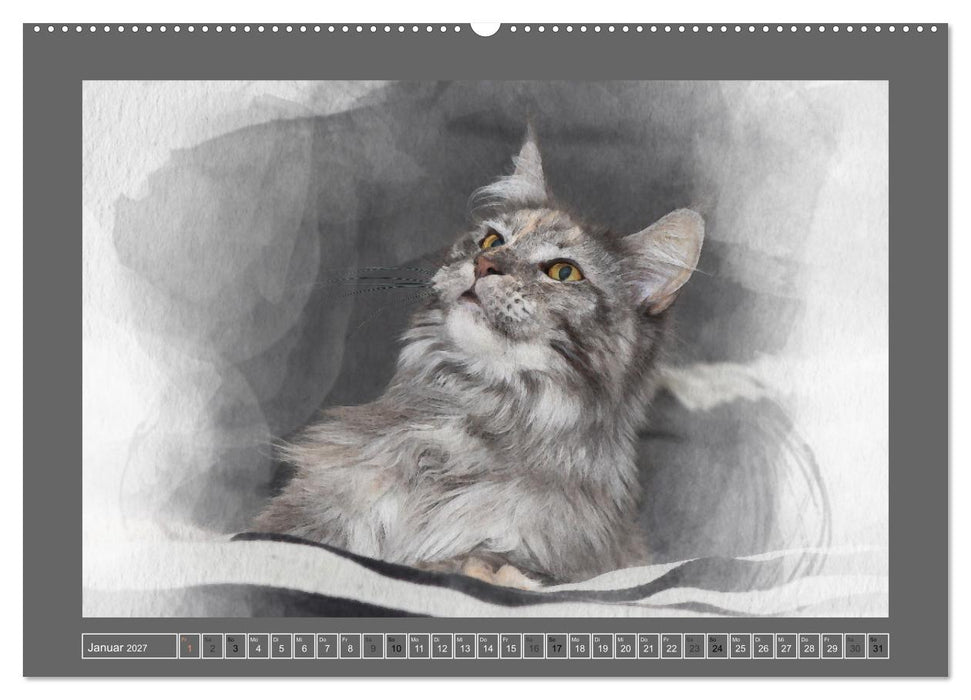 Maine Coon Aquarelle (CALVENDO Premium Wandkalender 2027)