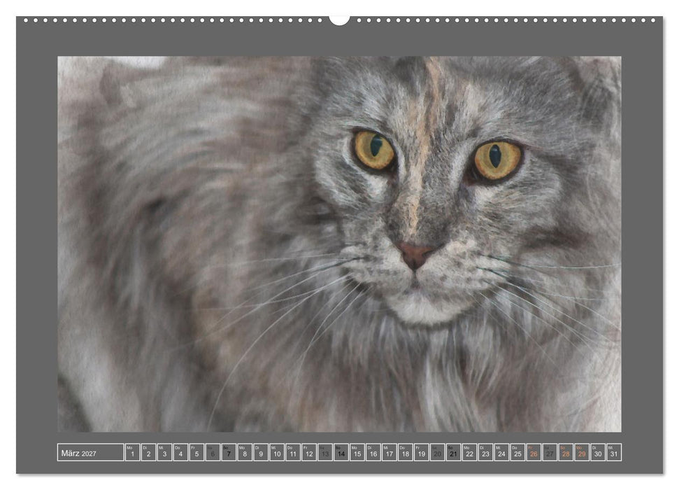 Maine Coon Aquarelle (CALVENDO Premium Wandkalender 2027)
