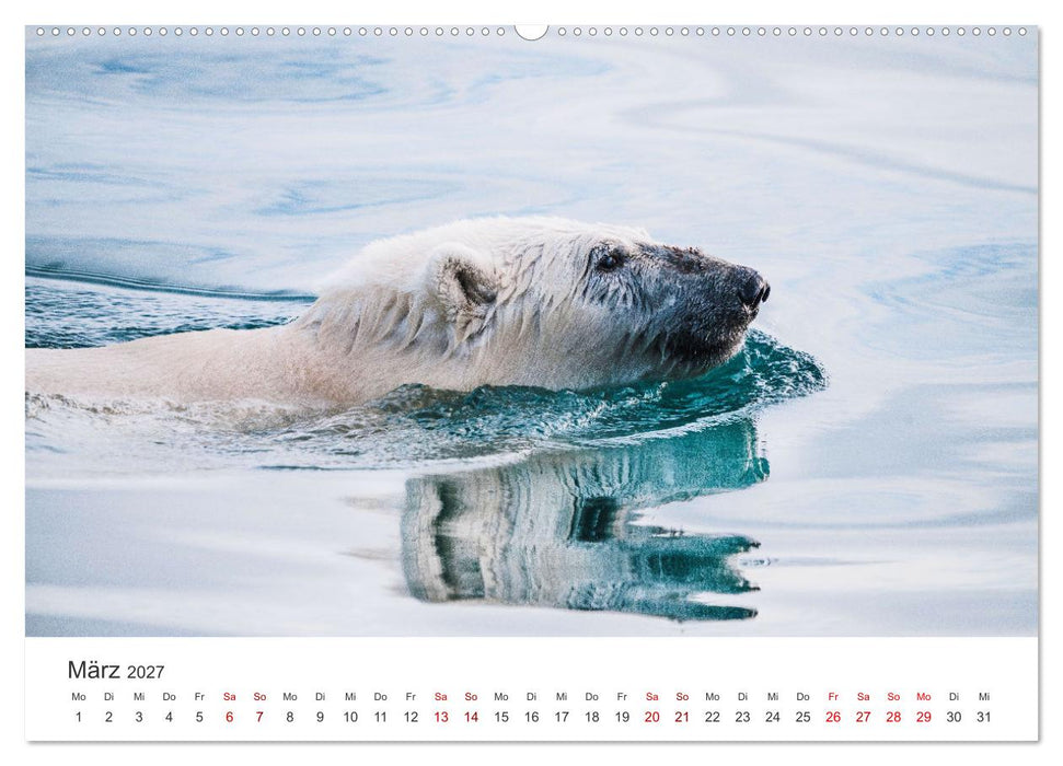 Zwischen den Eisbergen in Grönland (CALVENDO Wandkalender 2027)