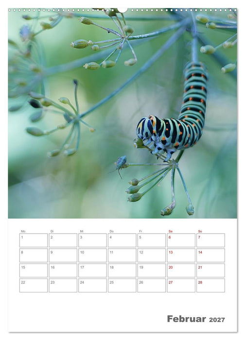 Helden in der Natur (CALVENDO Wandkalender 2027)