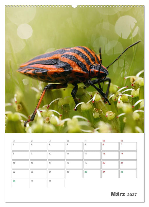 Helden in der Natur (CALVENDO Wandkalender 2027)