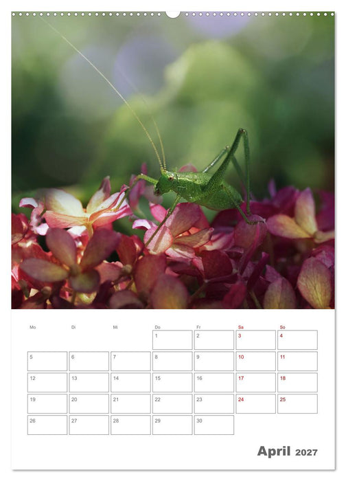 Helden in der Natur (CALVENDO Wandkalender 2027)