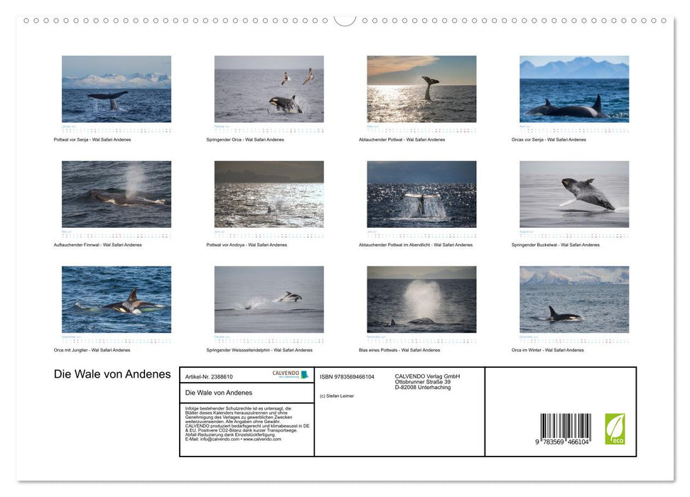 Die Wale von Andenes (CALVENDO Premium Wandkalender 2027)
