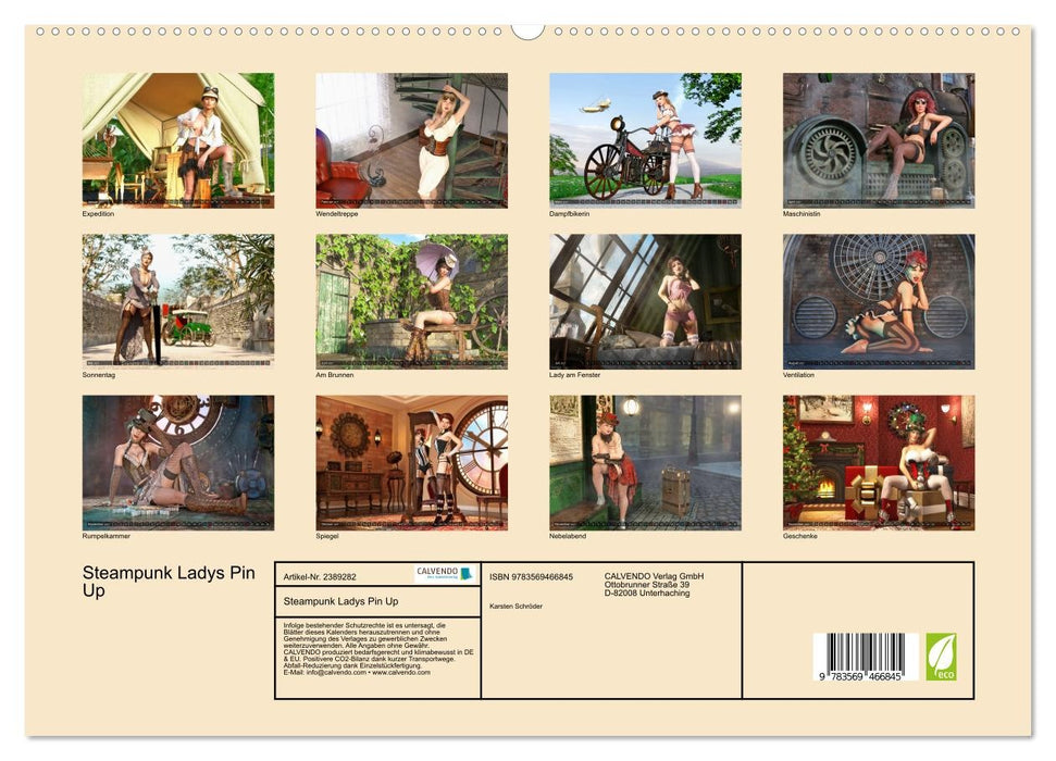 Steampunk Ladys Pin Up (CALVENDO Premium Wandkalender 2027)