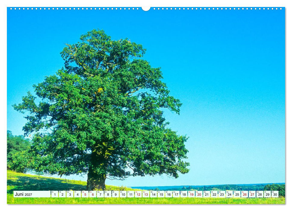 Sehnsuchtsland Mecklenburg-Vorpommern (CALVENDO Premium Wandkalender 2027)