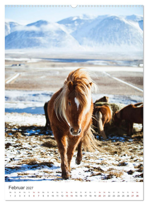 Ein Roadtrip durch Island (CALVENDO Wandkalender 2027)