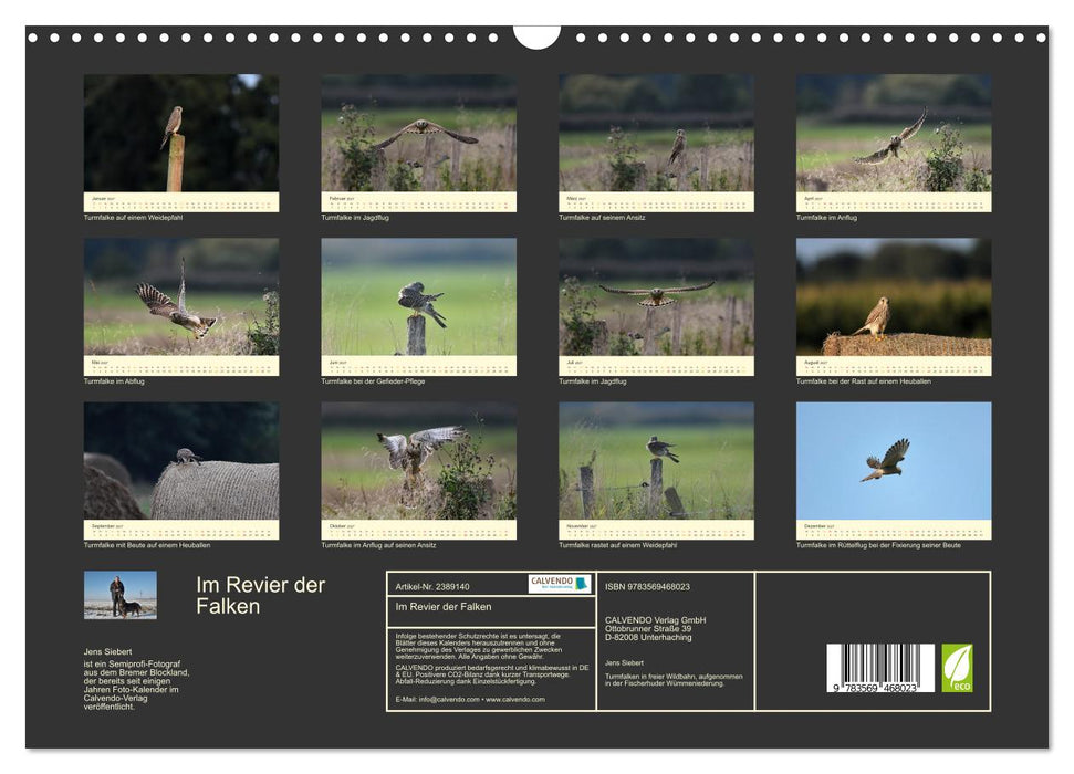 Im Revier der Falken (CALVENDO Wandkalender 2027)