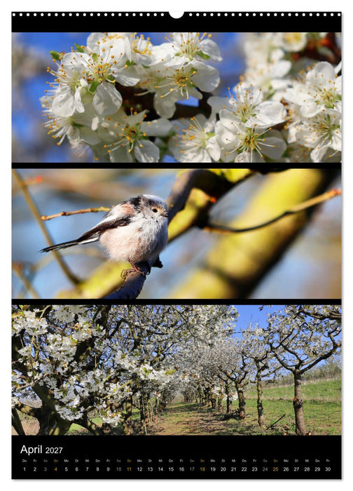 Bezaubernde Farben der Natur (CALVENDO Wandkalender 2027)