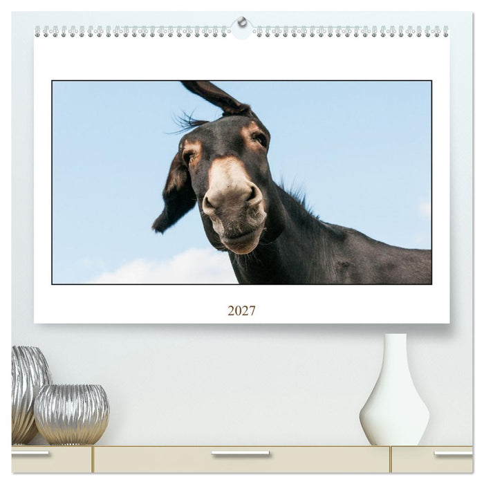 Esel Lebensfreude - Spaß mit Langohren (CALVENDO Premium Wandkalender 2027)