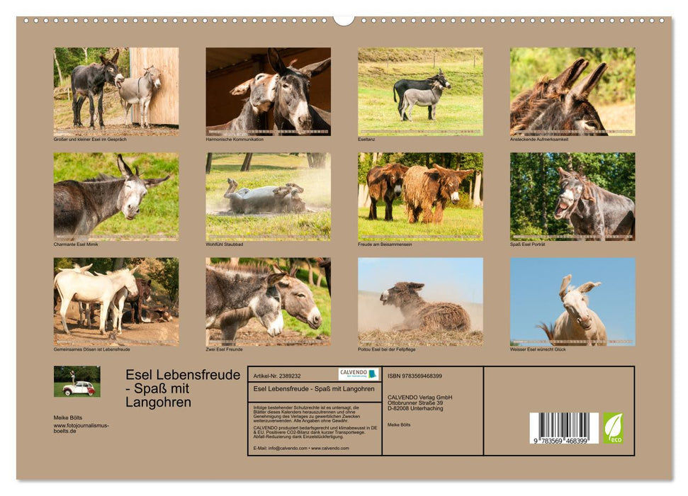 Esel Lebensfreude - Spaß mit Langohren (CALVENDO Premium Wandkalender 2027)