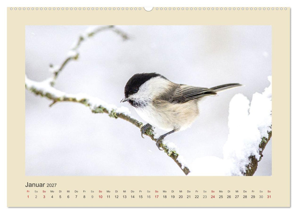 Tiere im Wald. Bezaubernde Begegnungen (CALVENDO Premium Wandkalender 2027)