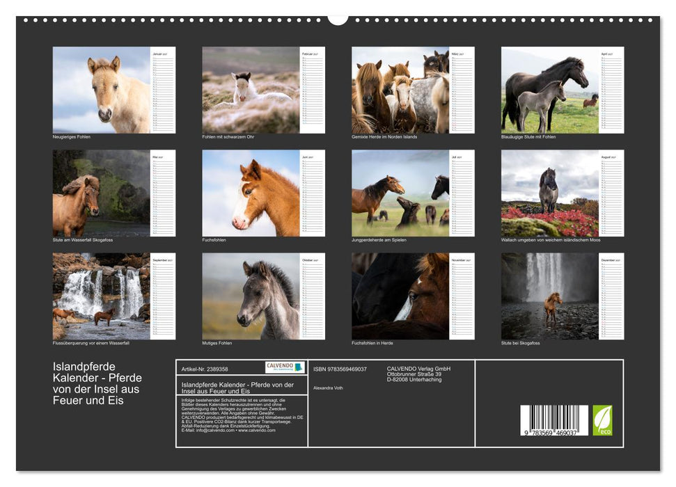 Islandpferde Kalender - Pferde von der Insel aus Feuer und Eis (CALVENDO Premium Wandkalender 2027)