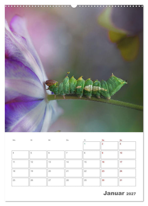 Helden in der Natur (CALVENDO Wandkalender 2027)
