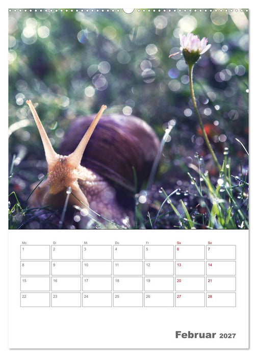 Helden in der Natur (CALVENDO Wandkalender 2027)