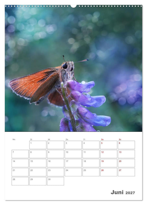 Helden in der Natur (CALVENDO Wandkalender 2027)
