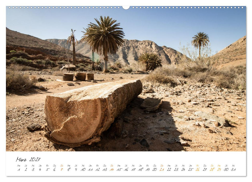 X Tage Fuerteventura – Strände, Vulkane und grandiose Landschaften (CALVENDO Wandkalender 2027)
