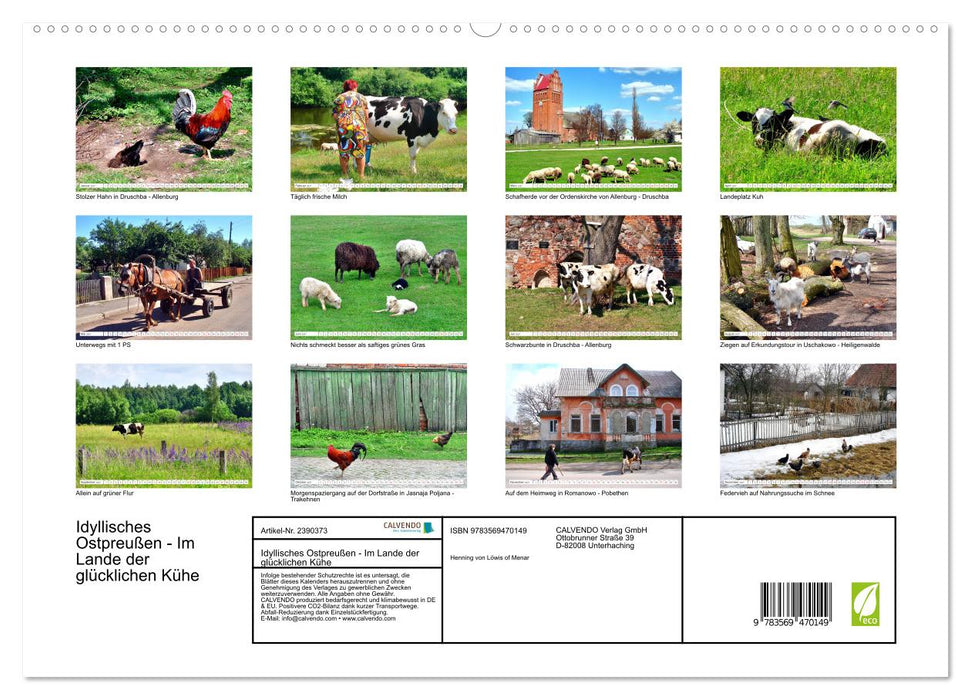 Idyllisches Ostpreußen - Im Lande der glücklichen Kühe (CALVENDO Wandkalender 2027)
