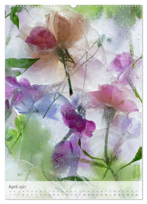 Blumen in Eis (CALVENDO Wandkalender 2027)