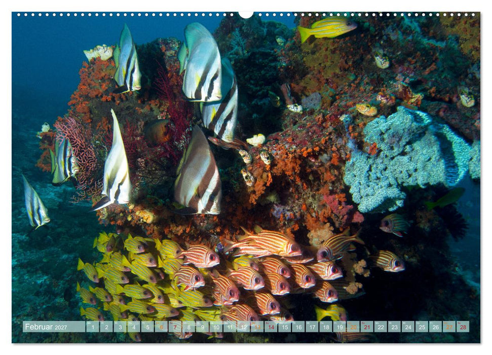 Raja Ampat - Impressionen (CALVENDO Wandkalender 2027)