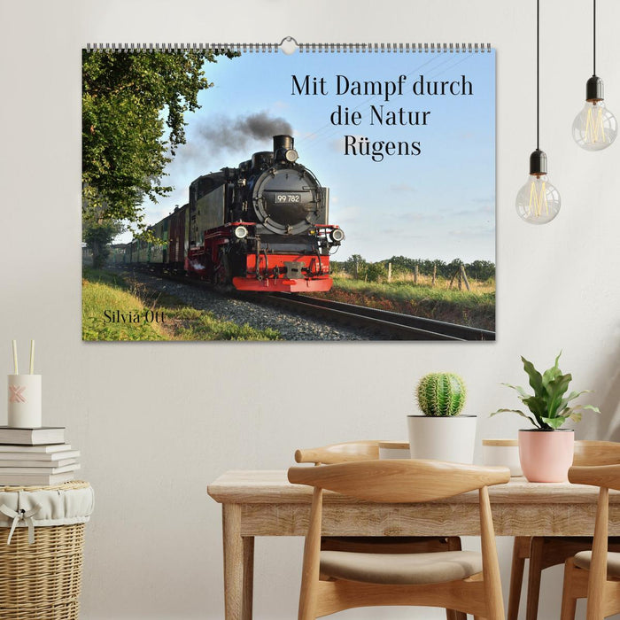 Mit Dampf durch die Natur Rügens (CALVENDO Wandkalender 2027)