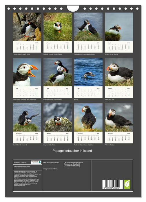 Papageientaucher in Island (CALVENDO Wandkalender 2027)